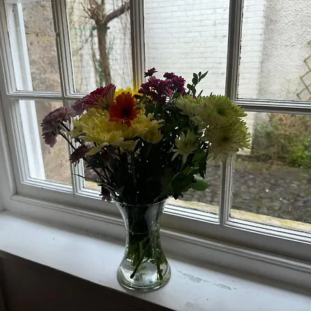 Robinson's Retreat - - District Dom wakacyjny